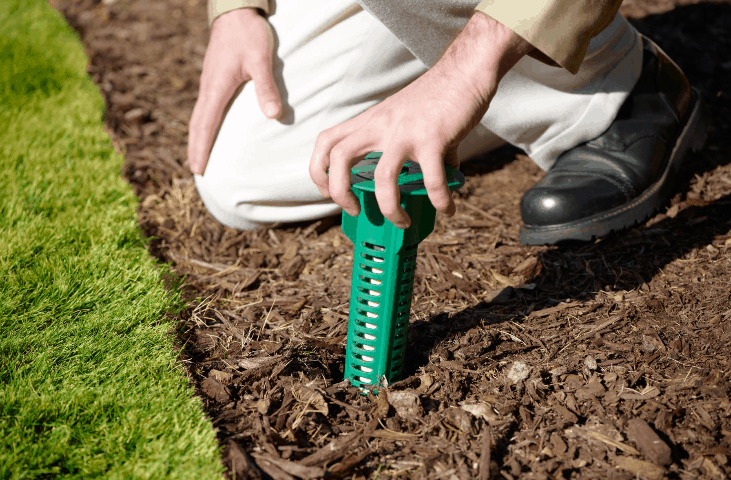 Termite inspection Beverly Hills